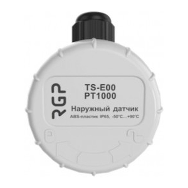 Датчик температуры наружного воздуха RGP TS-E00 NTC10k (3950)